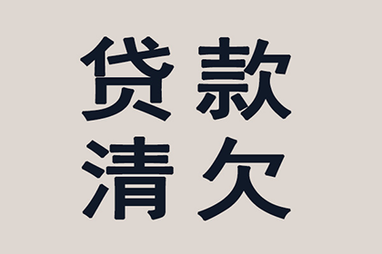 贞丰讨债公司